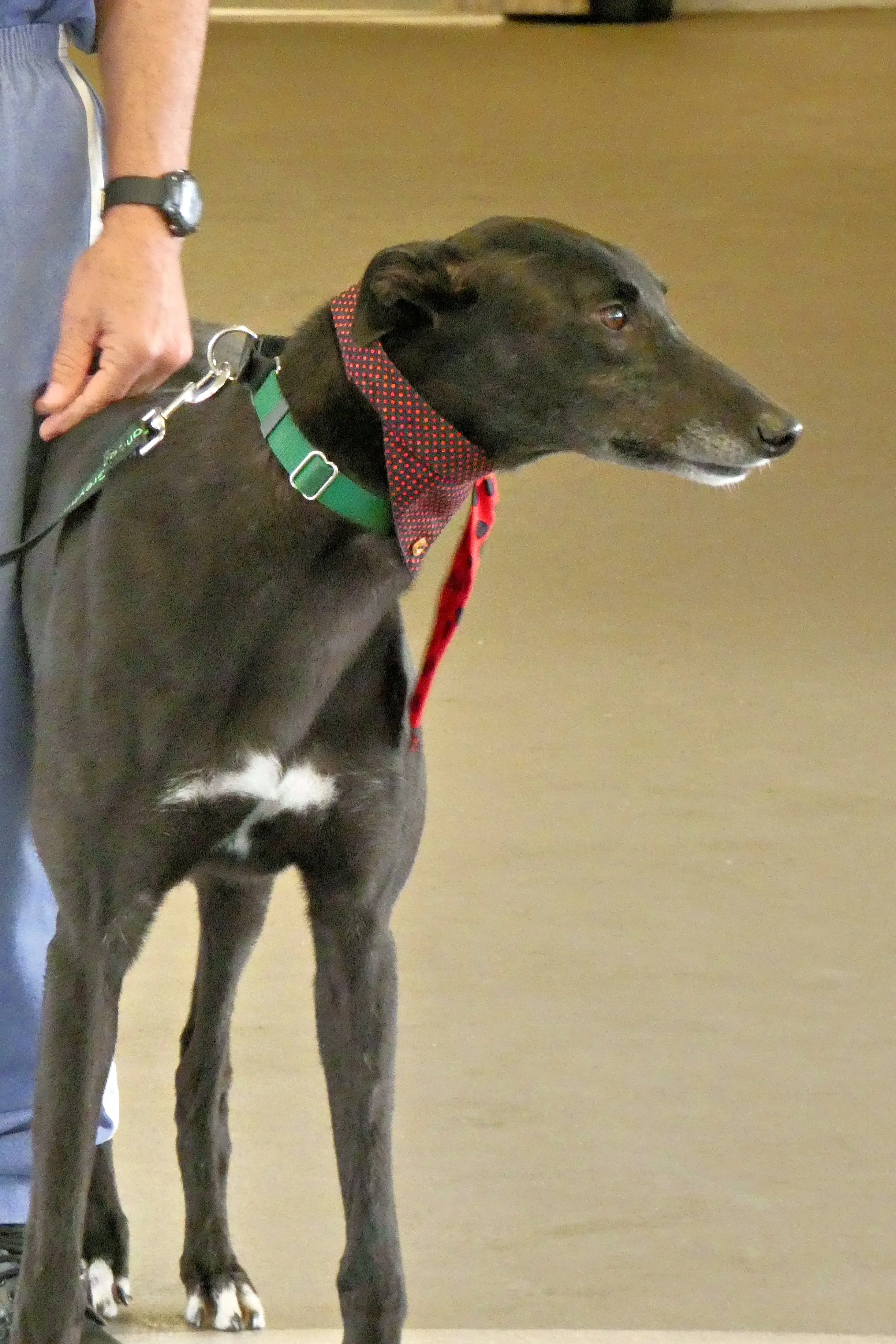 P1030836-8461(rev 1).jpg