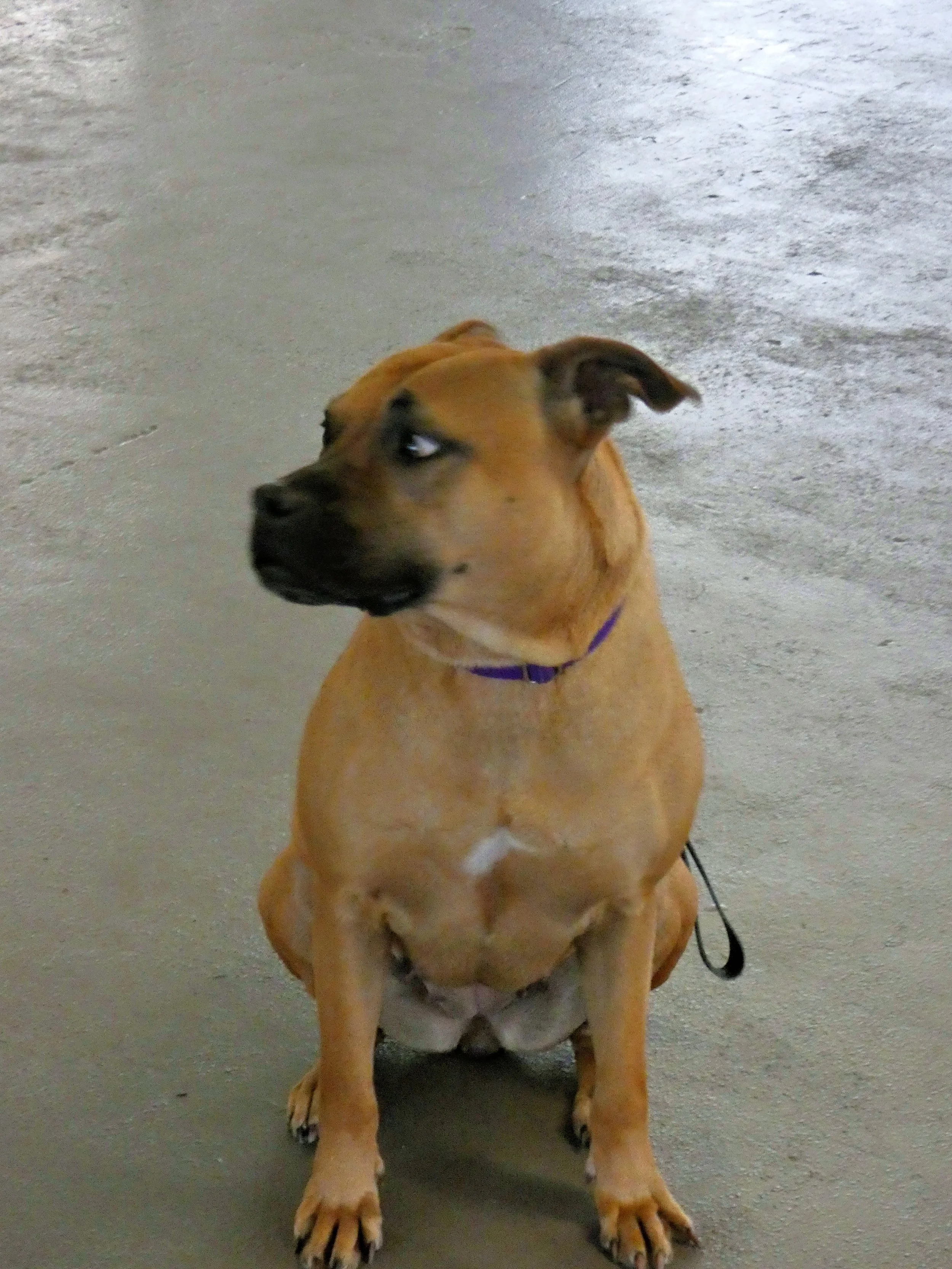 P1030823-8448(rev 1).jpg