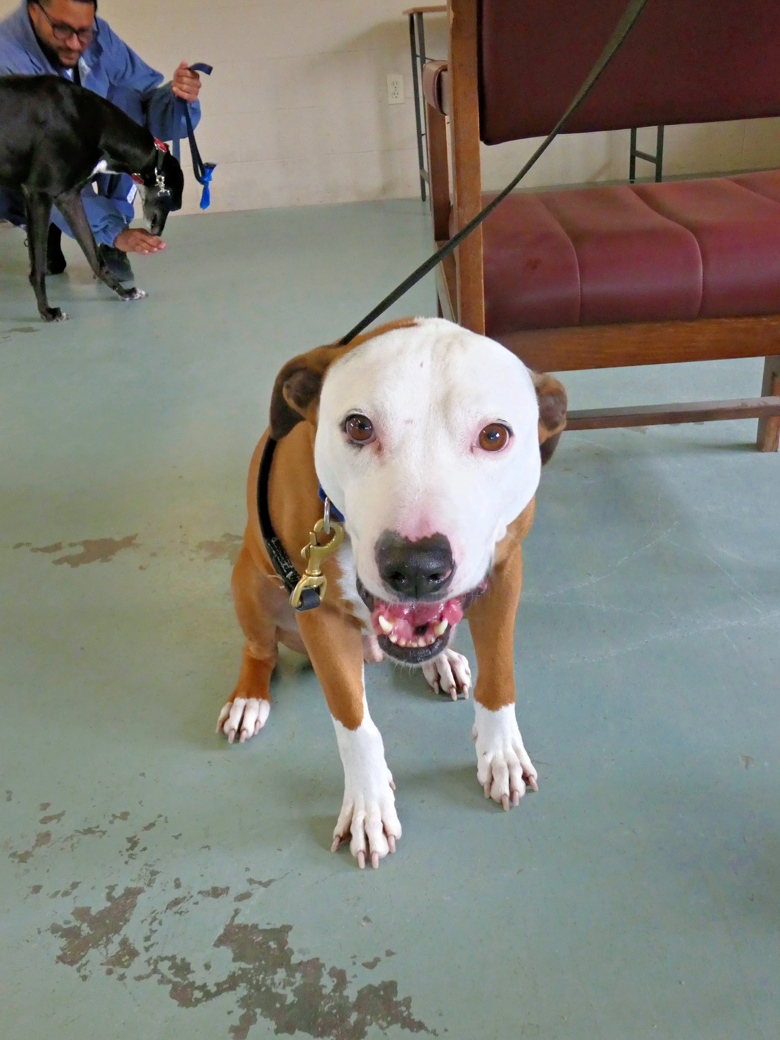 P1030809-8434(rev 1).jpg