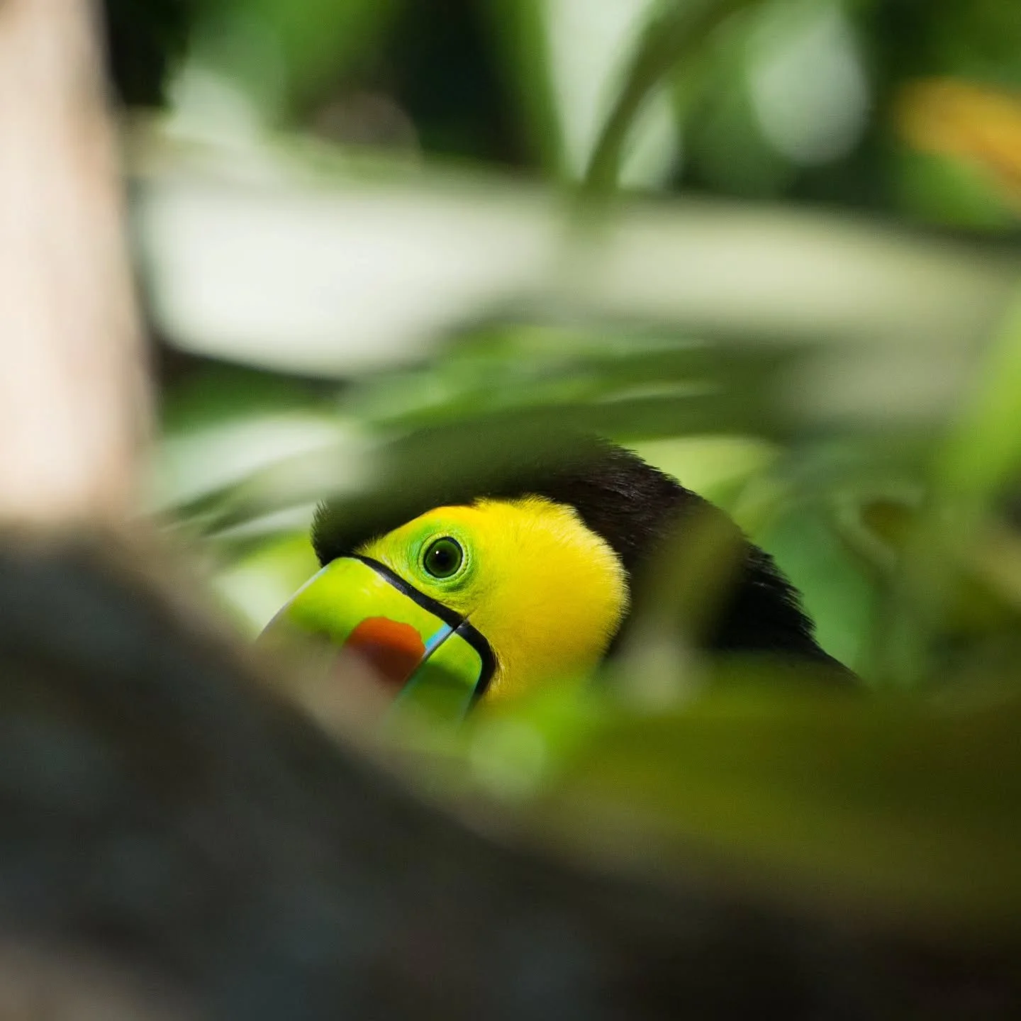 Happy World Nature Conservation Day 💚
I’ve spent the last decade working in conservation and media, and while it’s not exactly a path known for financial stability, I wouldn’t trade it for anything.
Why?
Because choosing this li