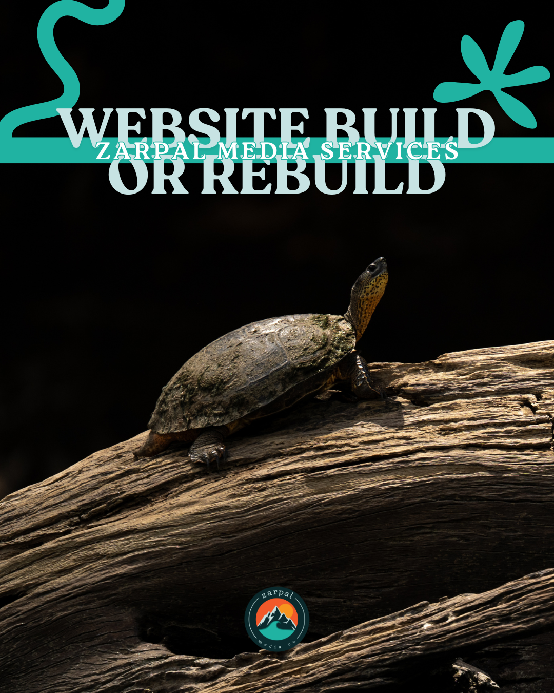 Turtle on log with text "Website Build or Rebuild - Zarpal Media Services."