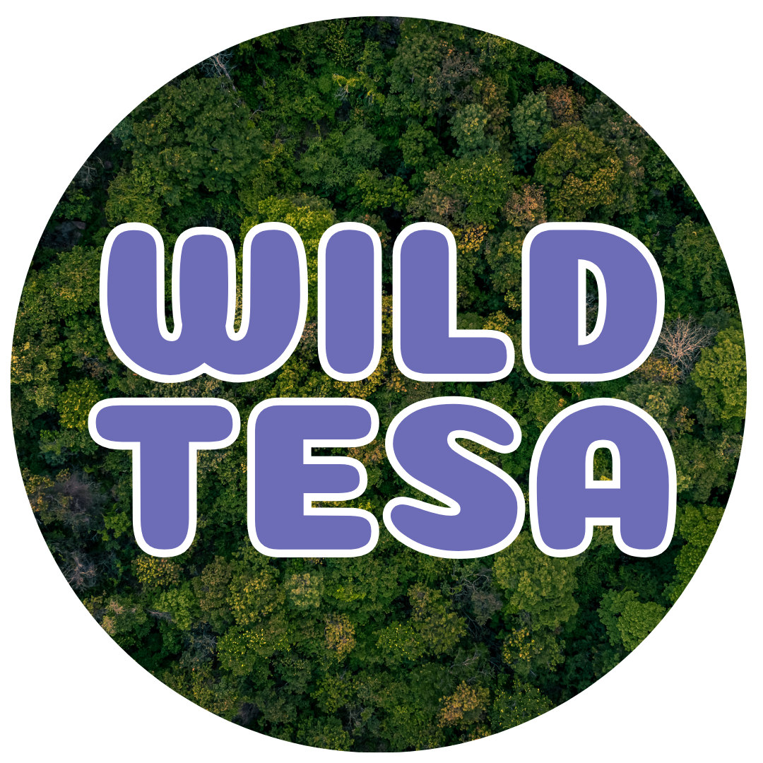 Circular forest aerial view with "WILD TESA" in bold purple letters.