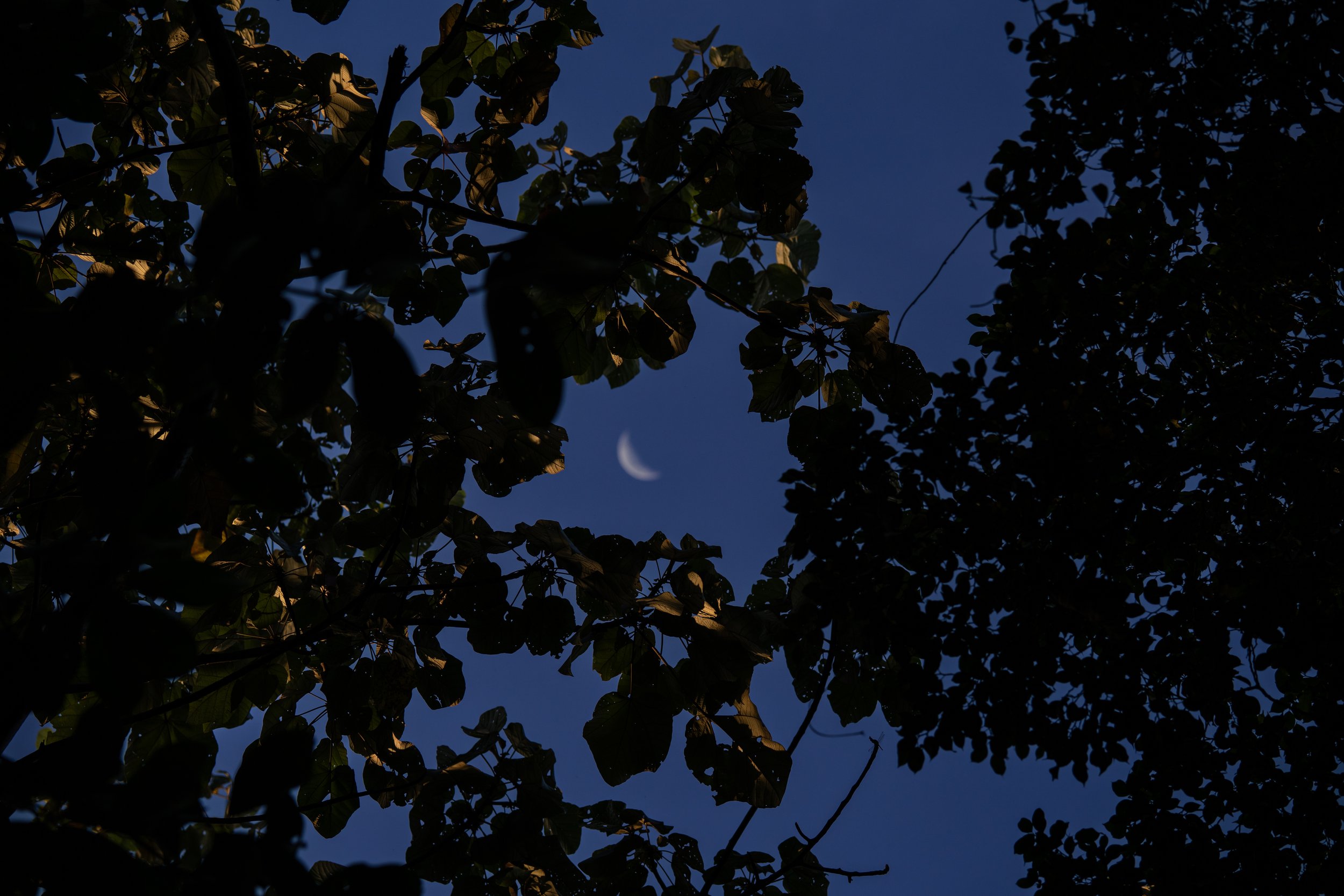 Moon Crest | Reference #E002
