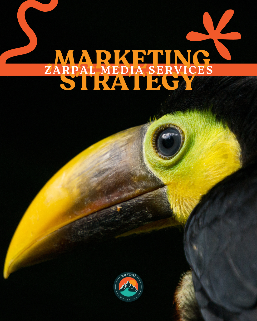 Close-up of a toucan with text overlay "Marketing Strategy, Zarpal Media Services" and a logo at the bottom.
