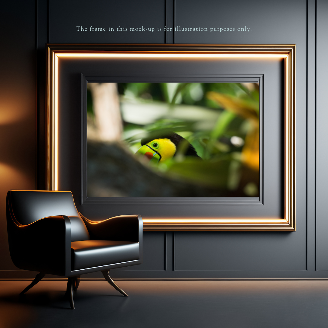 backyard-buddy-loops-the-keel-billed-toucan-costa-rica-2.png