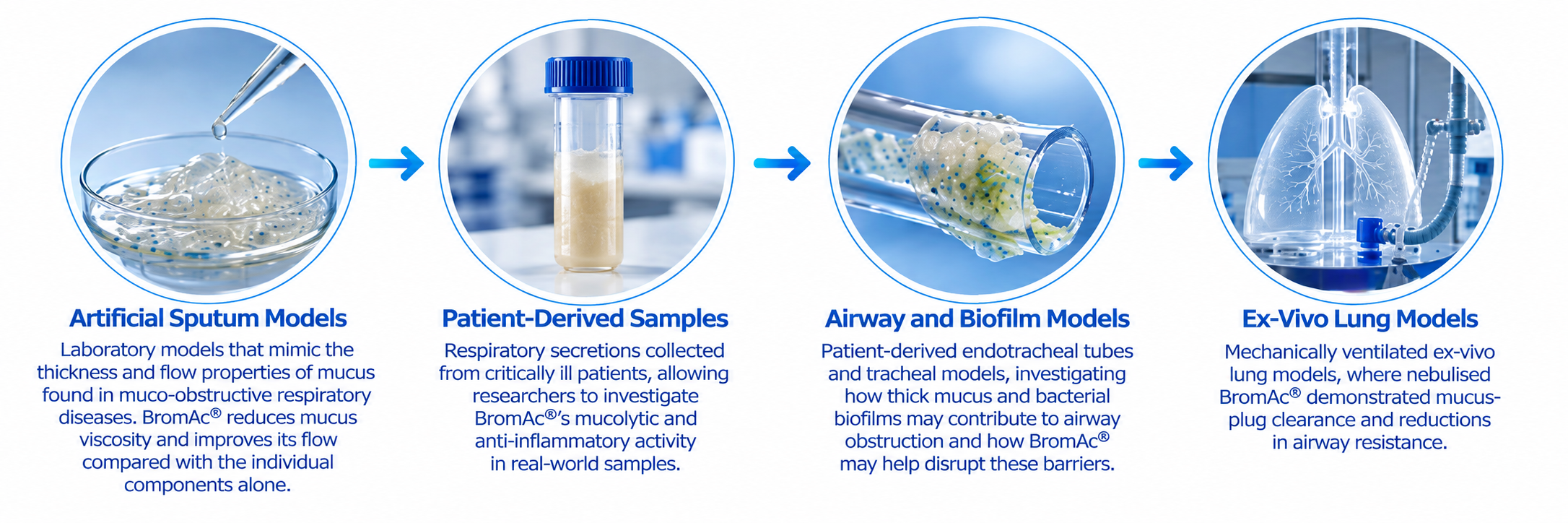 BromAc® treatment disrupting mucus supporting airway clearance