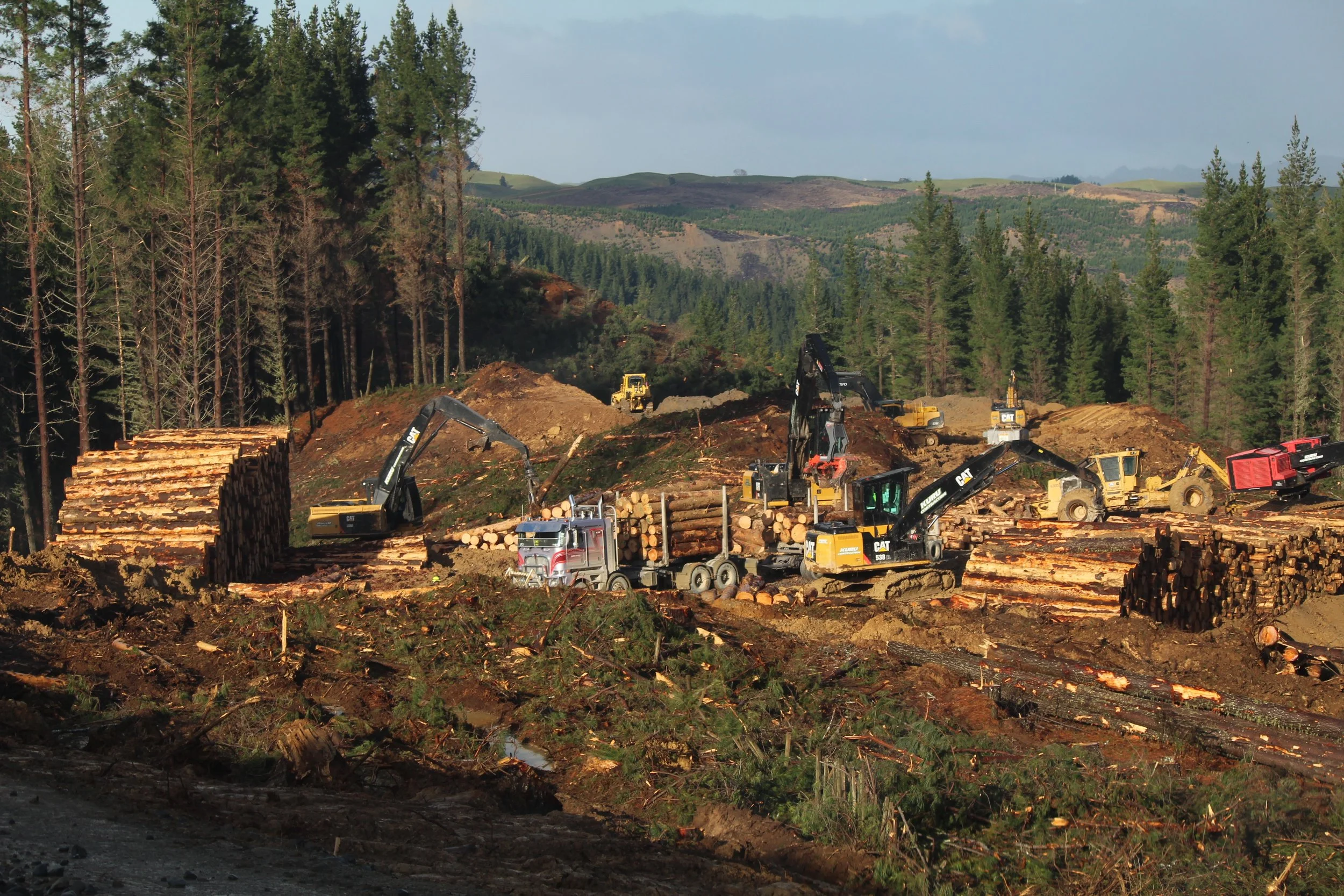 Forestry — Kuru Contracting Limited