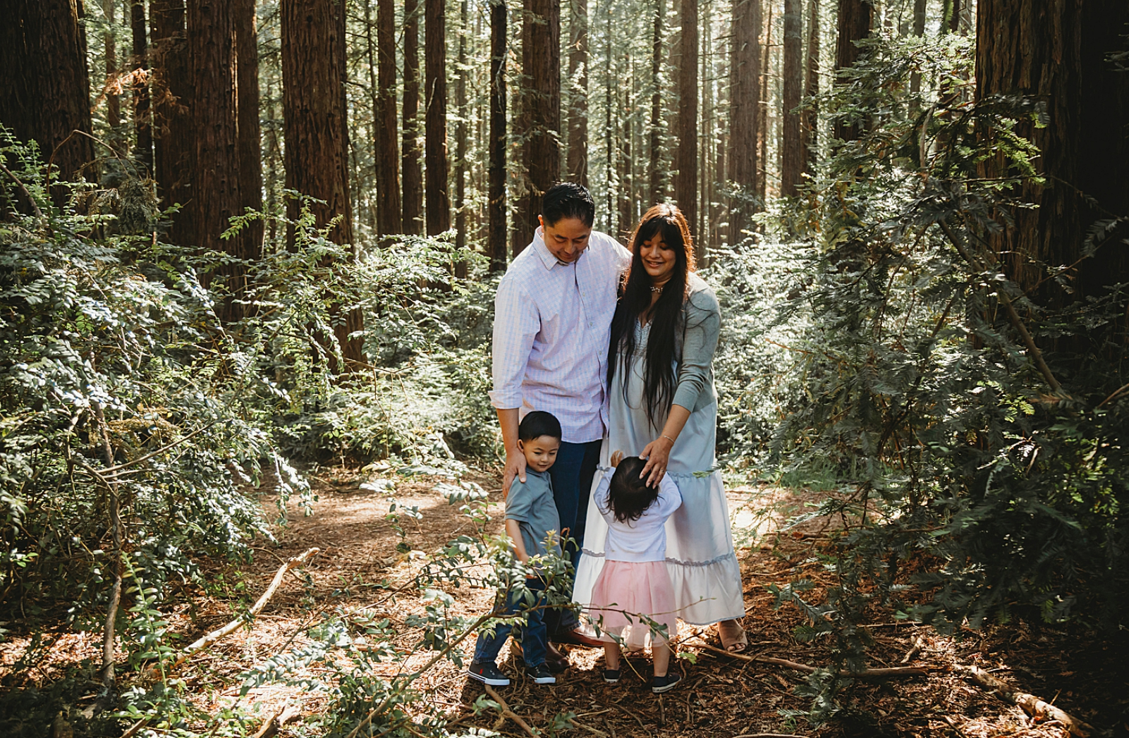 Redwood Regional Park