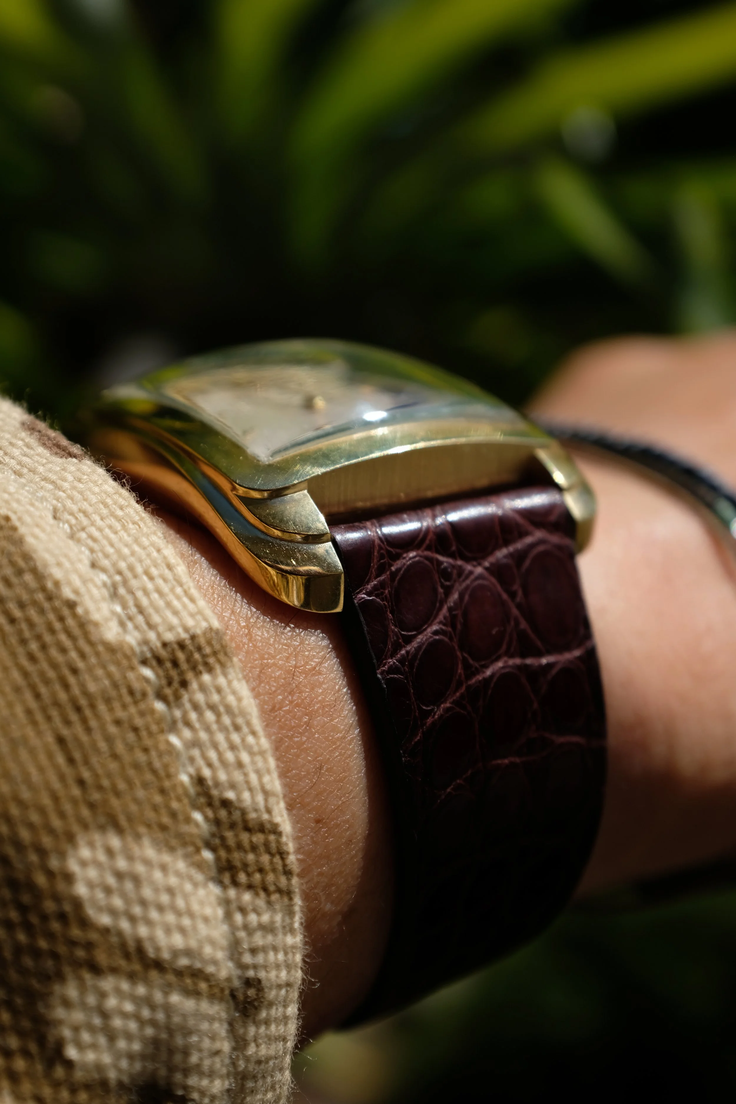 DSCF6841.jpg