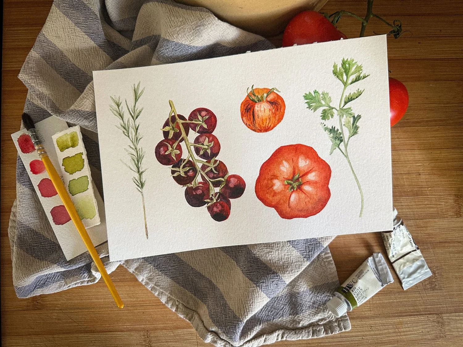 [aug 20] tomatoes in watercolor