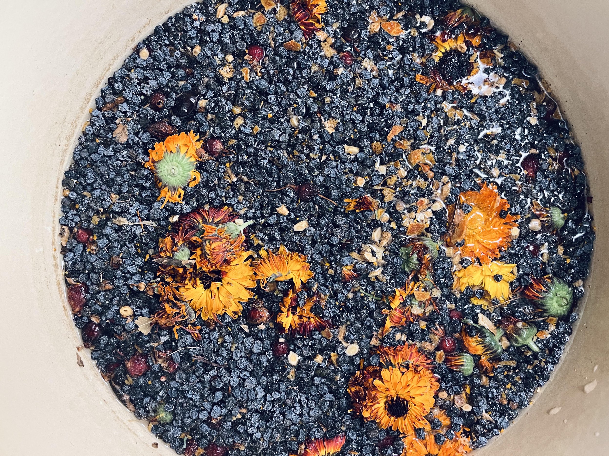 terroir 2.jpg