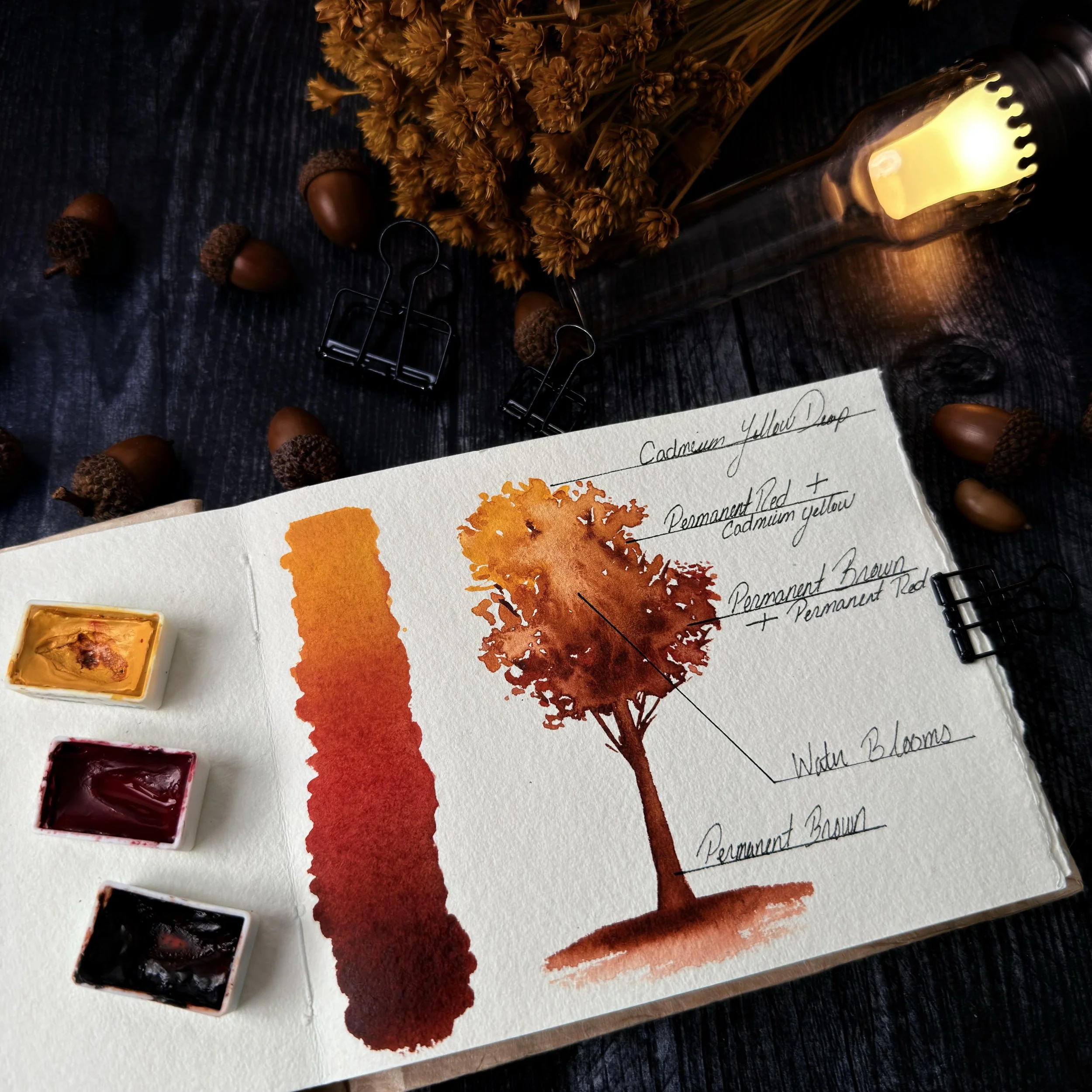 [oct 3] autumnal trees in watercolor