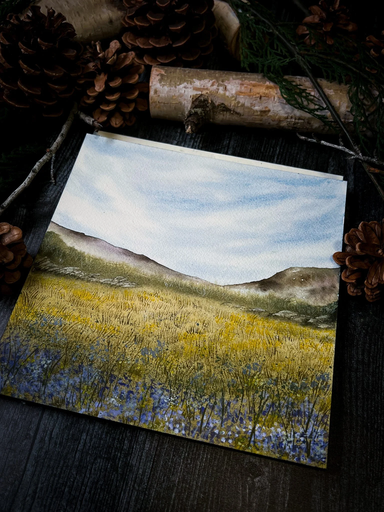 [aug 8] summer mountain landscapes
