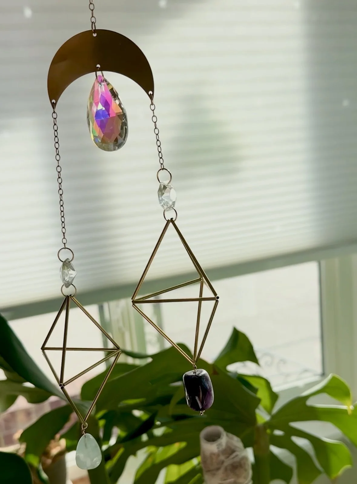 IMG_2658 (1).PNG