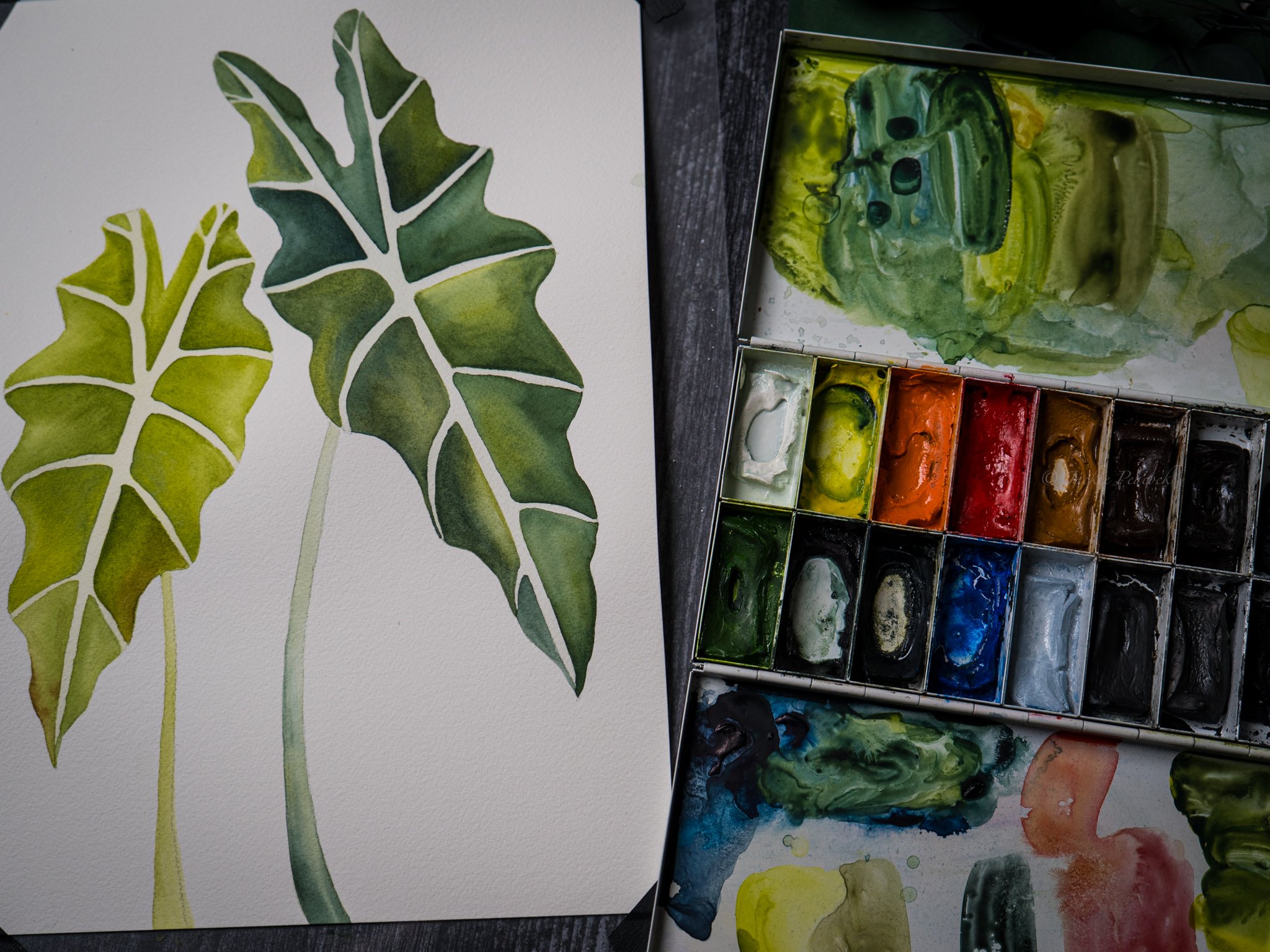 [may 10] painting tropical leaves with depth
