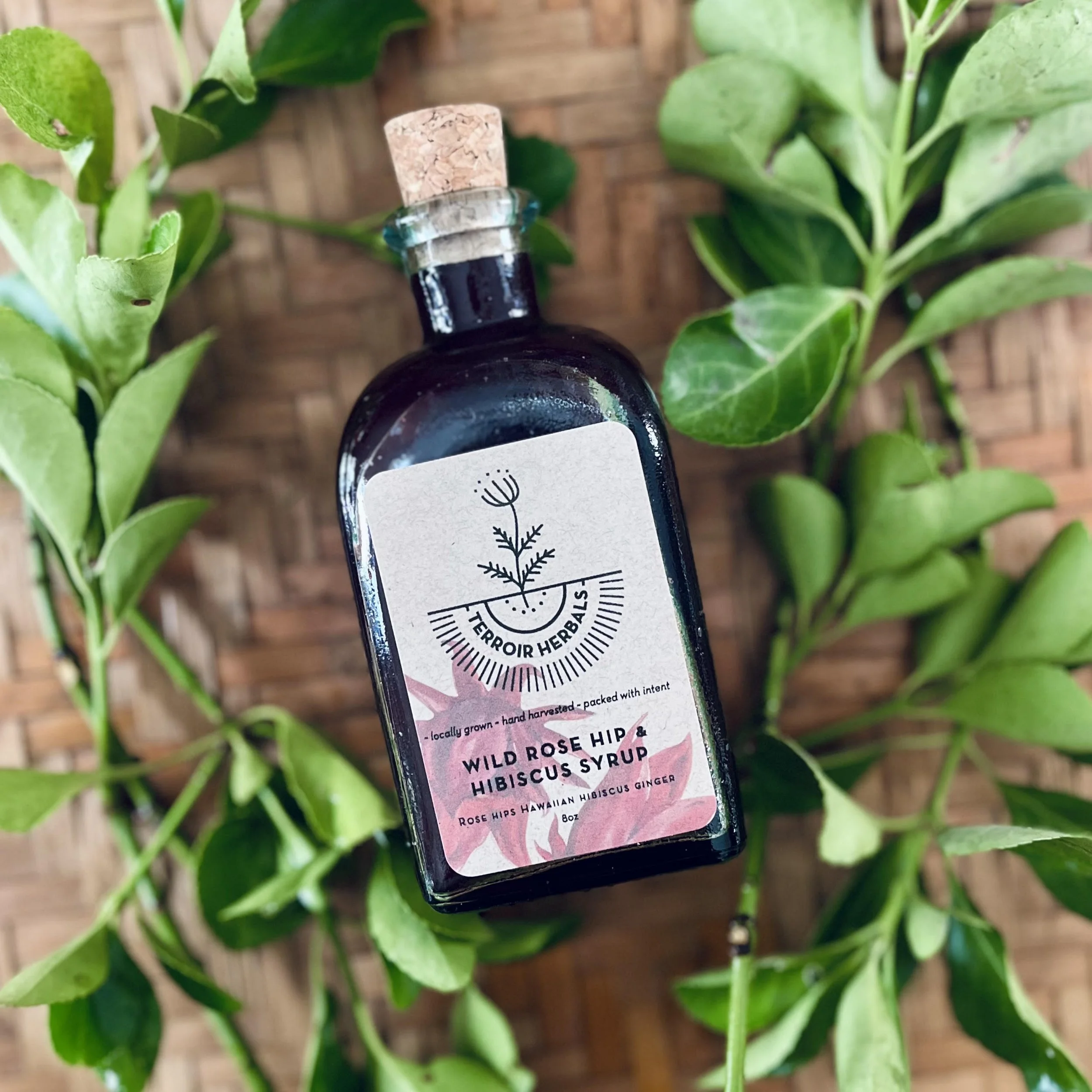 [nov 9] herbal syrups for seasonal wellness w/ terroir herbals