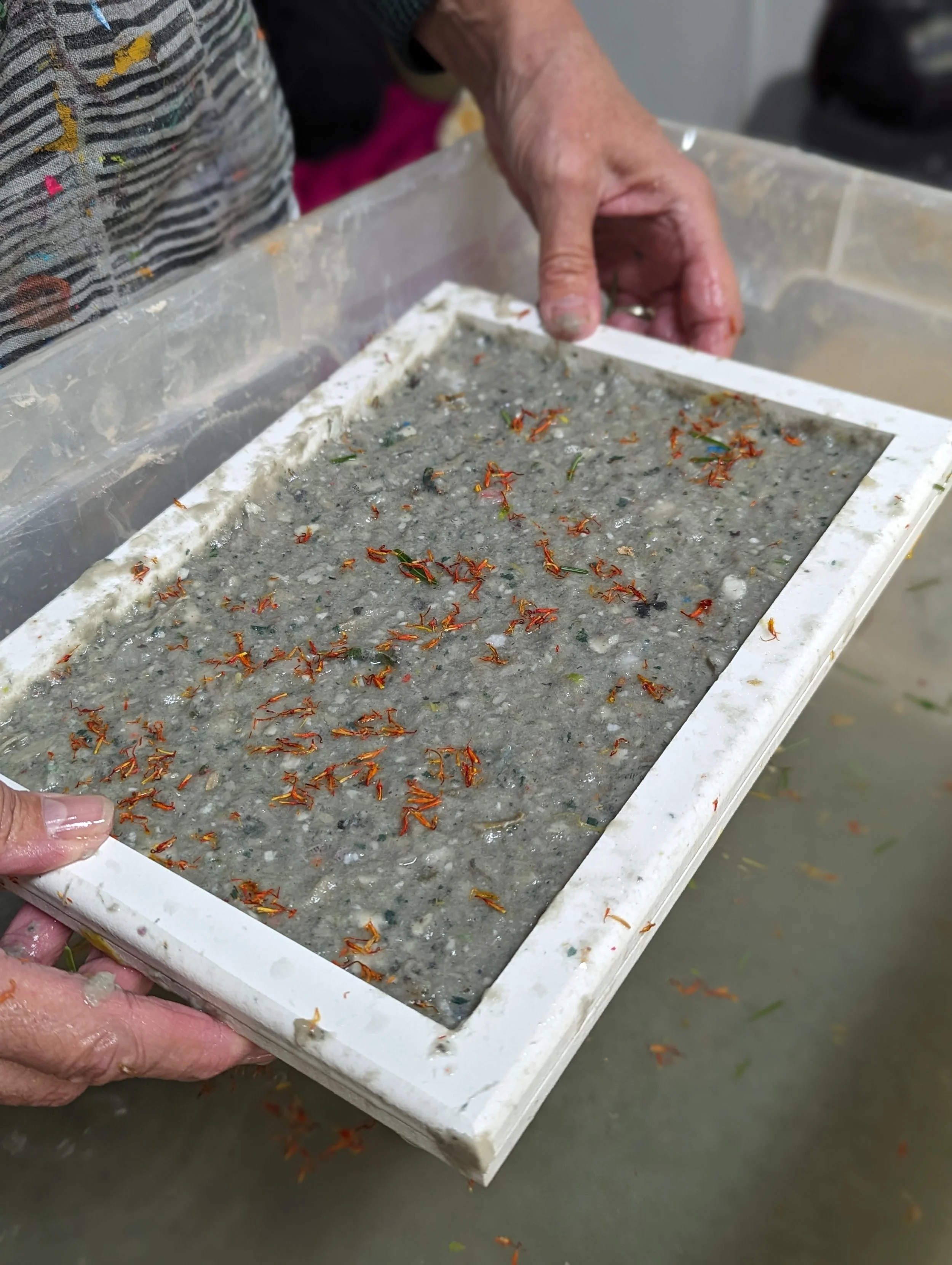 [may 24] exploring paper making