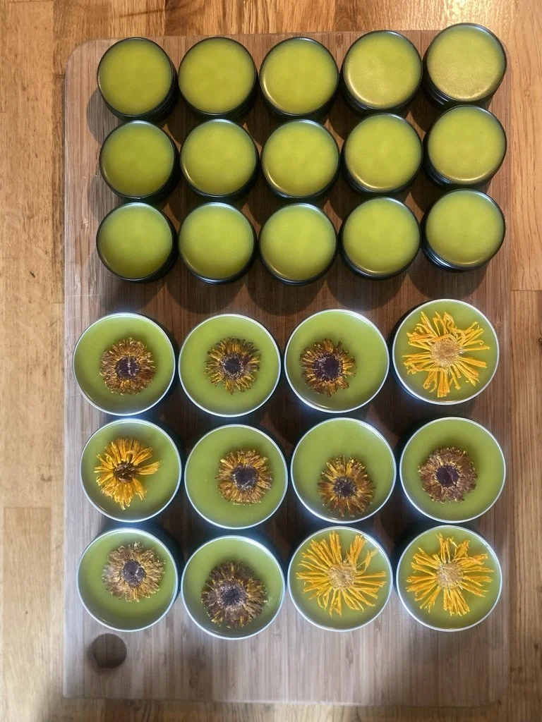 [may 22] Salves & Herbal Balms with Terroir Herbals