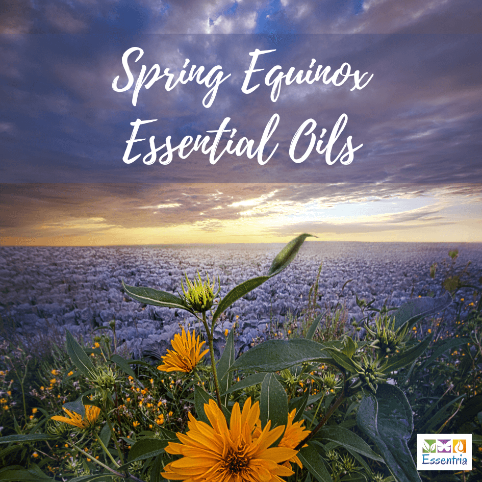 Spring Exquistnece Aromatherapy and Top Essential Oils to Usher in the Spring Equinox ...