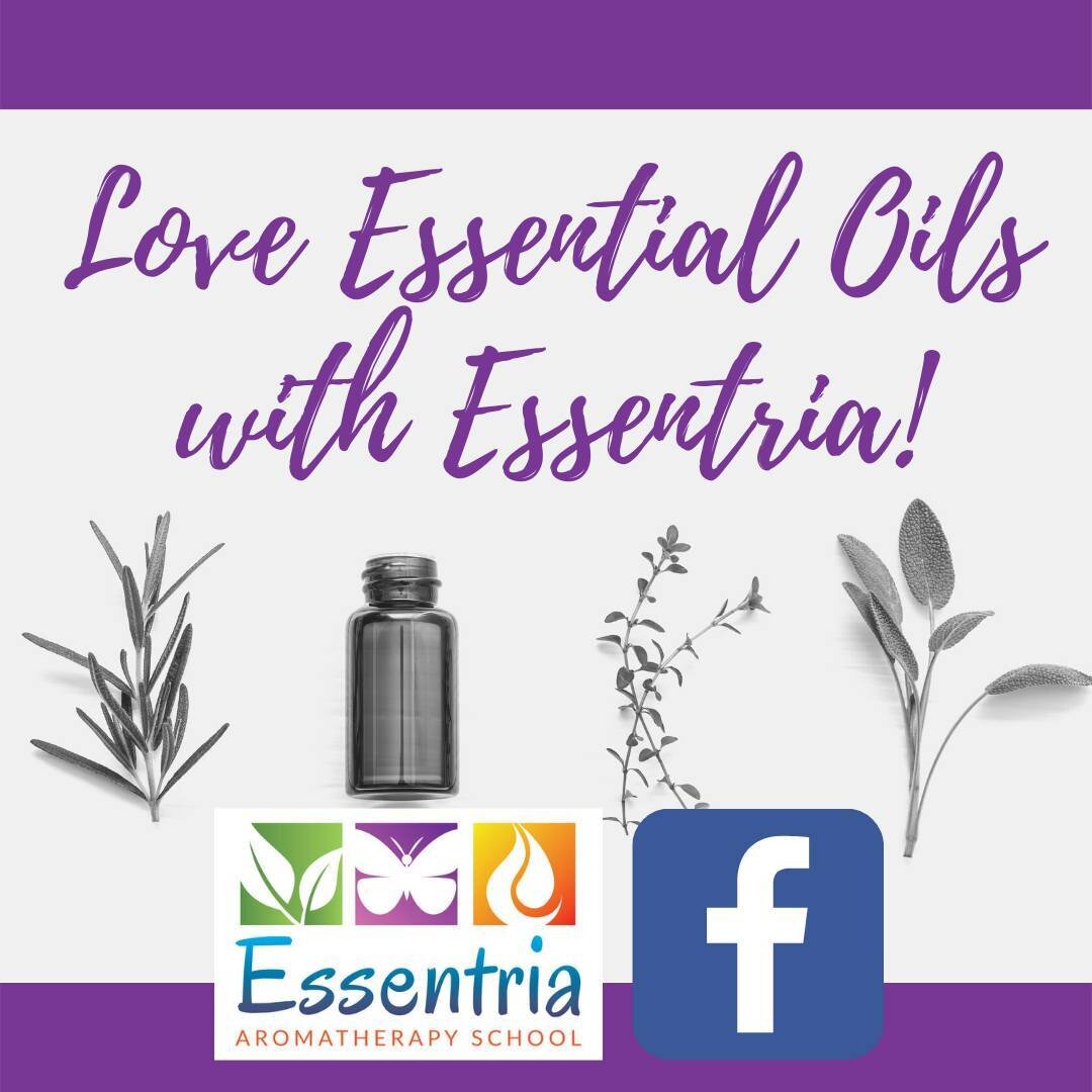 Looking for a place to expand your knowledge on aromatherapy? If you're just starting out with essential oils or already a certified aromatherapist, we invite you to join our Facebook group. We're excited to provide support on your journey into the w