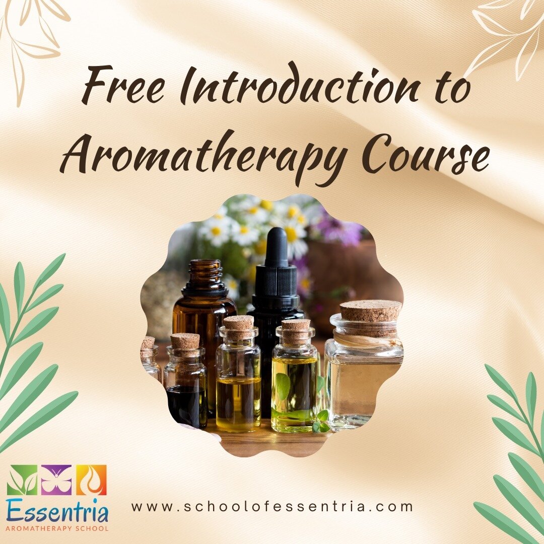 Have tried our Free oil class yet?⁠
⁠
Come learn the basics of aromatherapy from trained aromatherapists. ⁠
⁠
Go to the end to see a special gift just for you 😉⁠
⁠
⁠https://www.schoolofessentria.com/en/free-online-aromatherapy-course⁠
⁠
⁠
⁠
⁠
#aroma