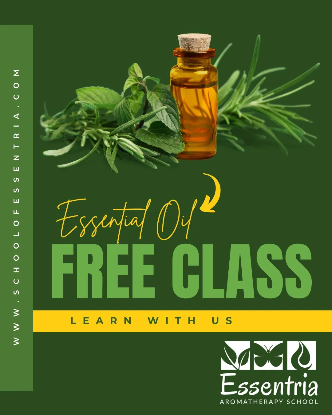 Have you participated in our complimentary intro to essential oils class yet? ⁠
⁠
Join us to explore the fundamentals of aromatherapy led by certified aromatherapists. ⁠
⁠
Don't forget to check out a special surprise waiting for you at the end! 😉 ⁠
