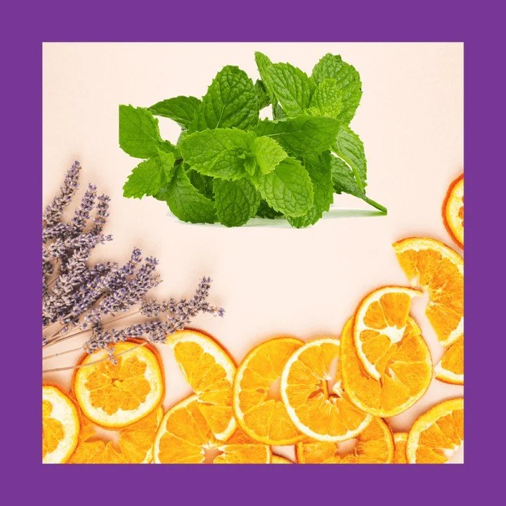 Mood Boosters: Essential Oils for a Positive Mindset⁠
⁠
Ever had one of those days where everything seems to go wrong? Your alarm clock fails, the car won&rsquo;t start, or you miss your bus, the coffee spills, and the list just goes on. We've all be