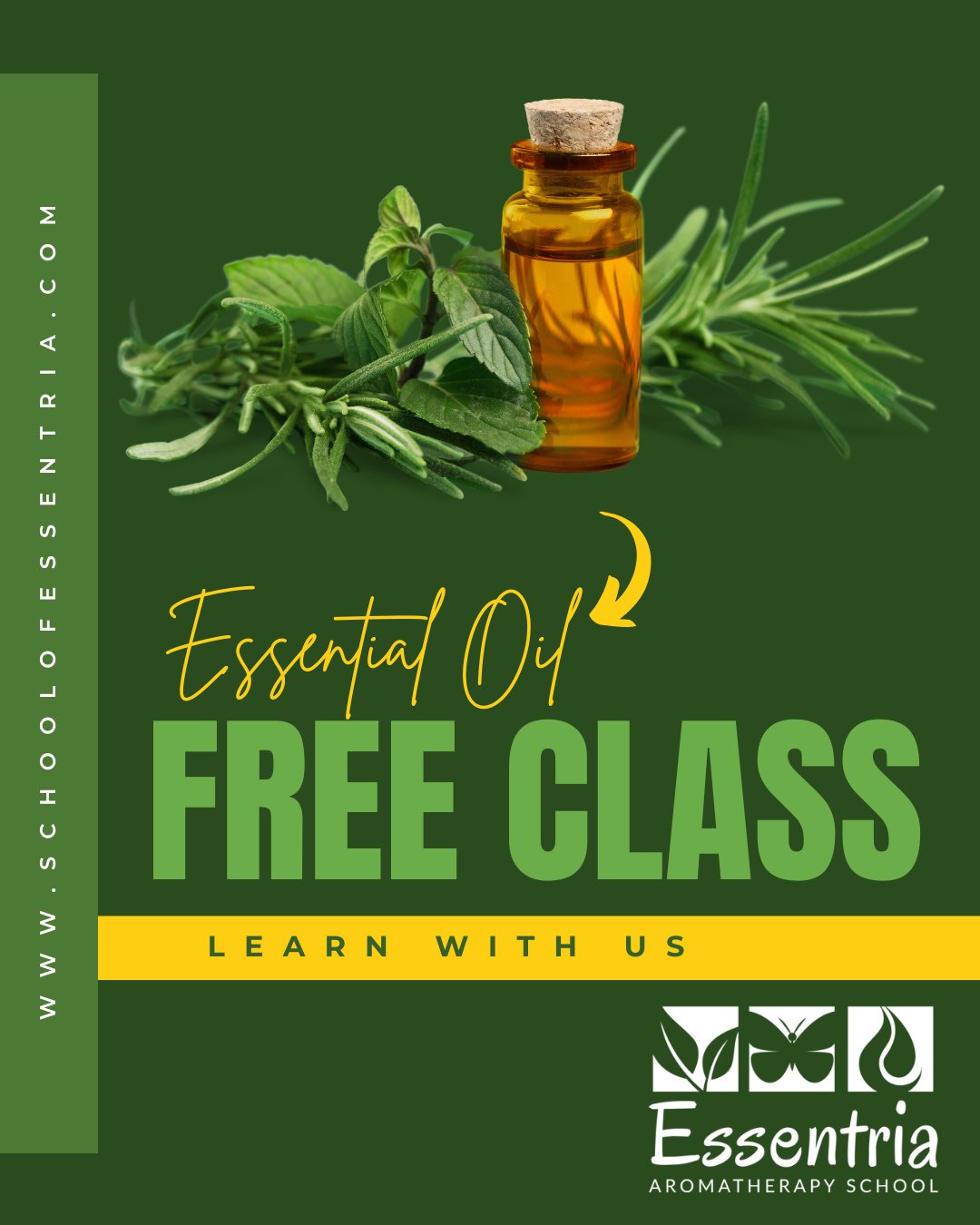 Have you participated in our complimentary intro to essential oils class yet? ⁠
⁠
Join us to explore the fundamentals of aromatherapy led by certified aromatherapists. ⁠
⁠
Don't forget to check out a special surprise waiting for you at the end! 😉 ⁠
