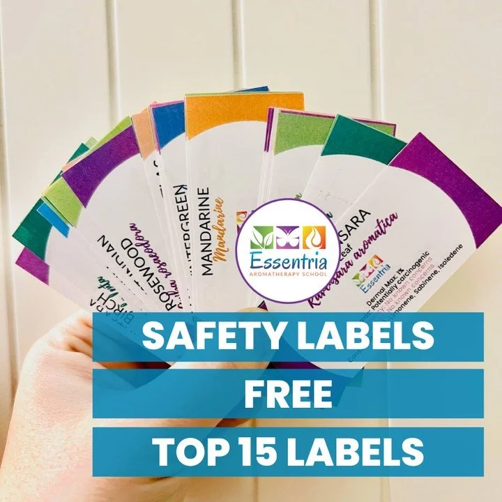 Get your hands on our free safety labels for the Top 15 must-have oils!⁠
⁠
Each label has all the info you need:⁠
💜 Name in English⁠
💖 Botanical Name⁠
💙 Dermal Max⁠
💛 Hazards⁠
💚 Safety Recommendations⁠
🧡 Main Chemical Components⁠
⁠
No more sear
