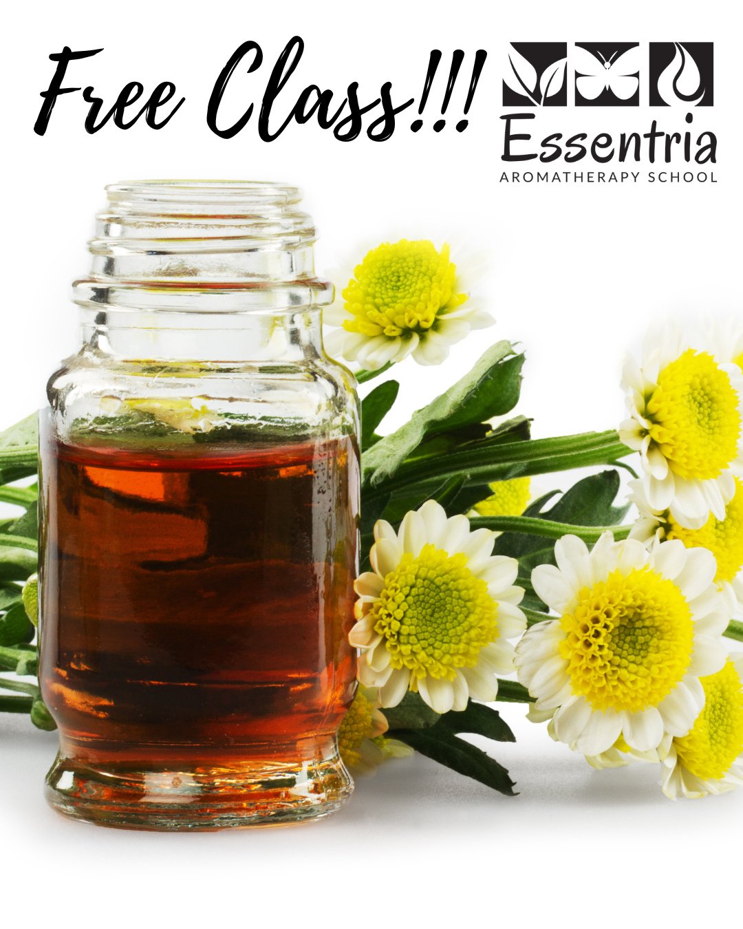 Are you excited about our complimentary class on essential oils? 🍊😆⁠
⁠
There's no better moment than now to dive into the world of essential oils at no cost and learn from a recognized institution! 🥰⁠
⁠
Don't miss out&mdash;explore the opportunity