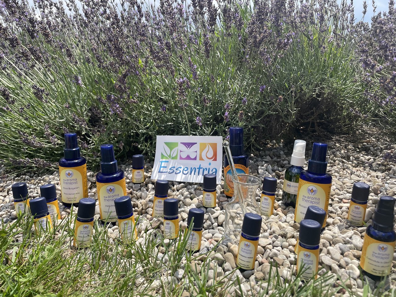 Essential Oils & Hydrosols