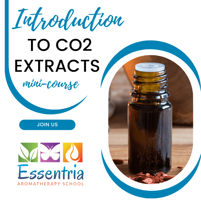 Introduction to CO2 Extracts Mini Course — Essentria Aromatherapy