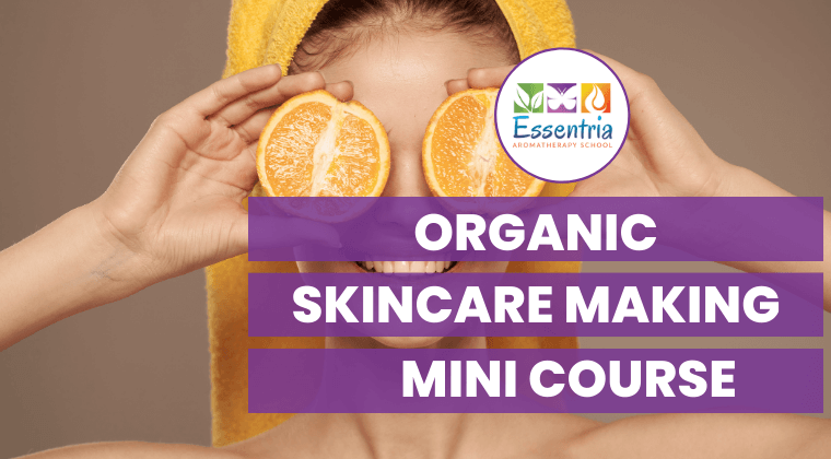 Mini Courses offered by Essentria — Essentria Aromatherapy