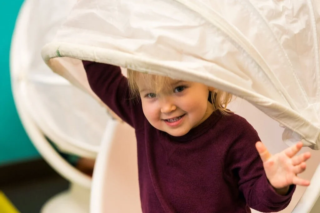 Alameda kid's birthday parties, play, activities Swings and Wings