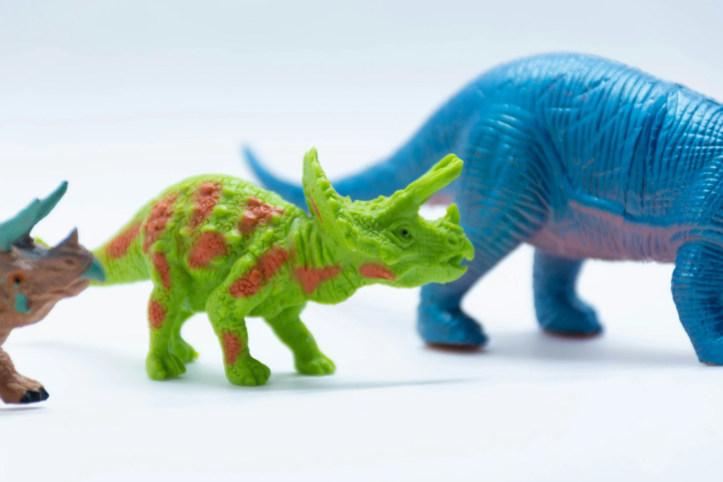 Roarsome Rexes | 
We were strong dinosaurs stomping the earth, digging up dirt and eating dino food.