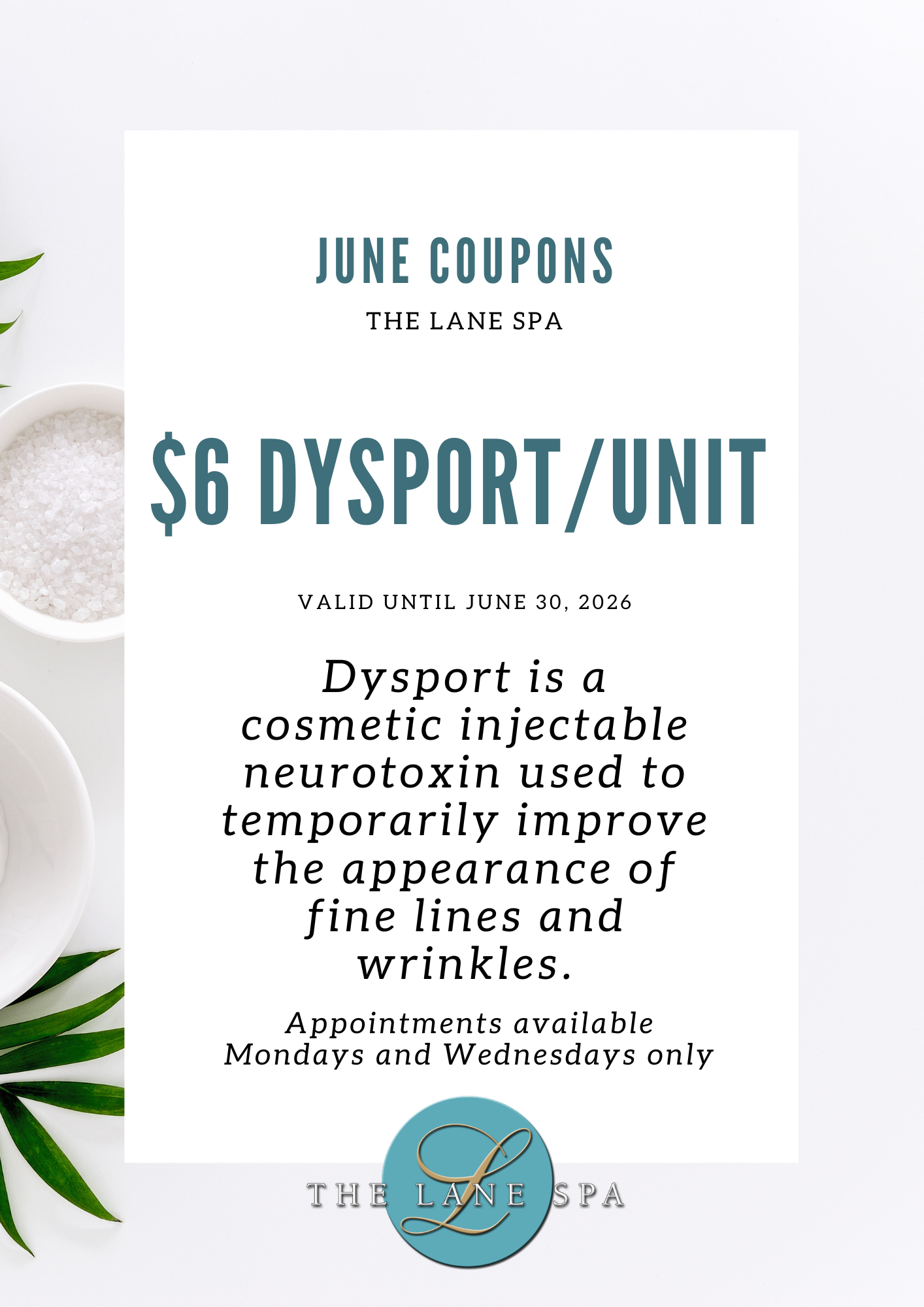 Promotion for June coupons at The Lane Spa, featuring a white background, green leaves on the left, small dishes with white salt, and a logo with a 'L' and 'The Lane Spa' at the bottom.
