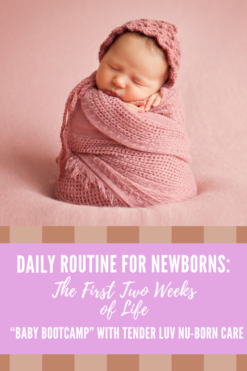 Daily Routine for Newborns: The First Two Weeks of Life — “Baby Bootcamp” with Tender Luv Nu-Born Care