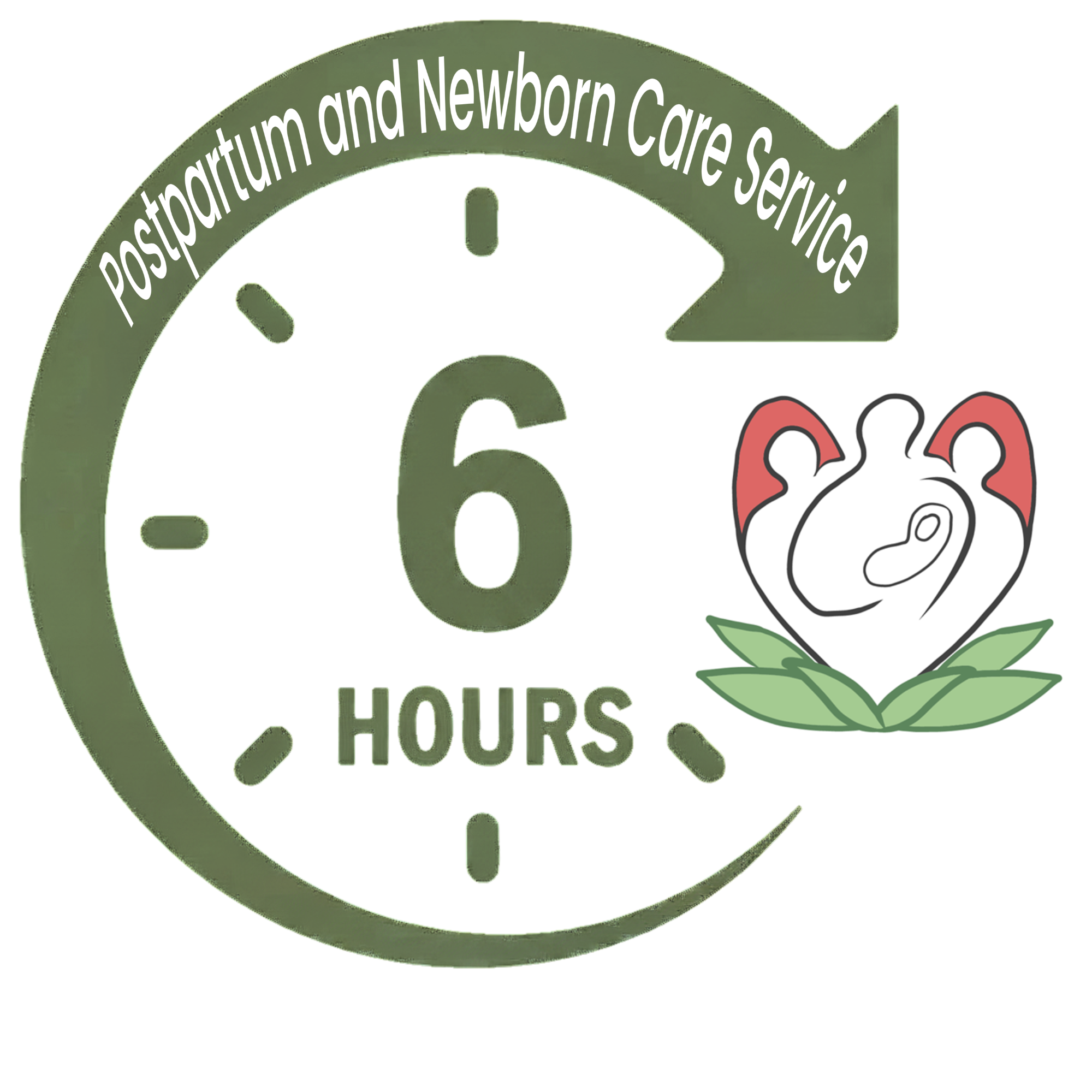 6 Hours Postpartum and Newborn Care Service