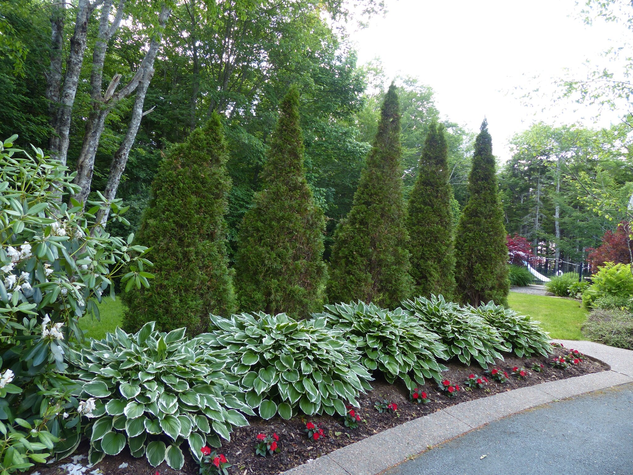 Landscaping - Addition