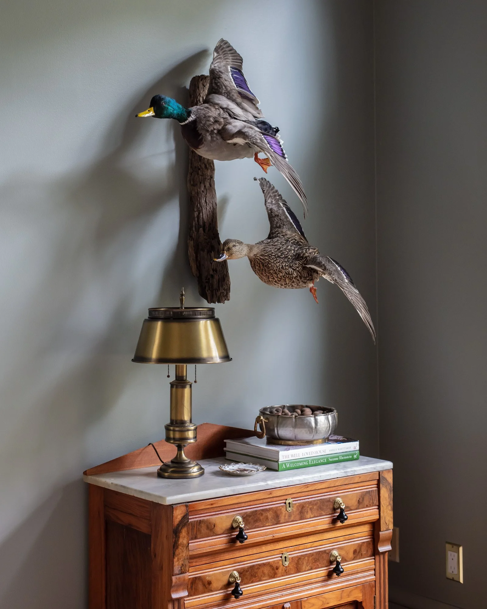 Maggie Clarke-Morningside-24April2025-14-web.jpg