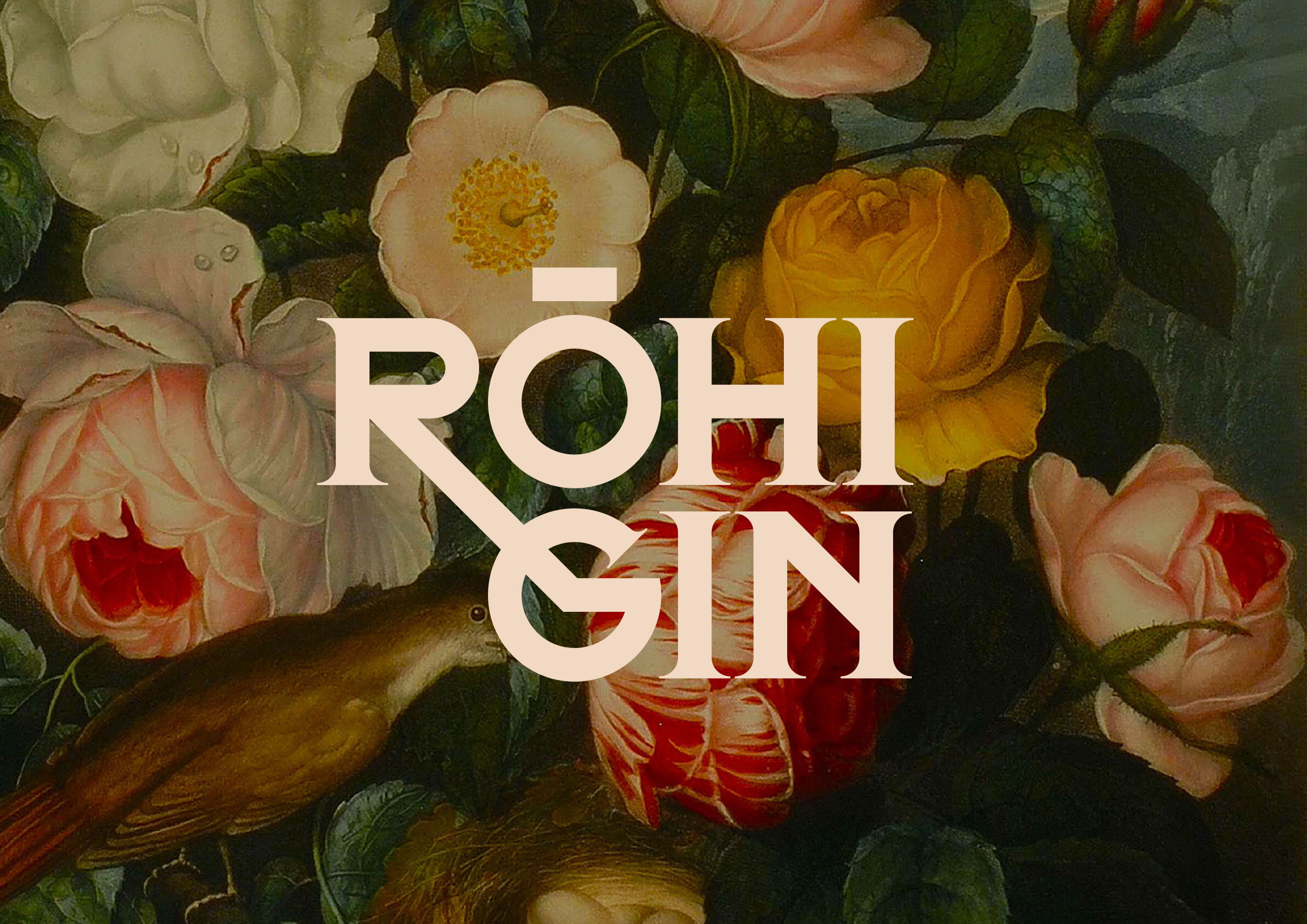 rohi-gin-portfolio-6.jpg