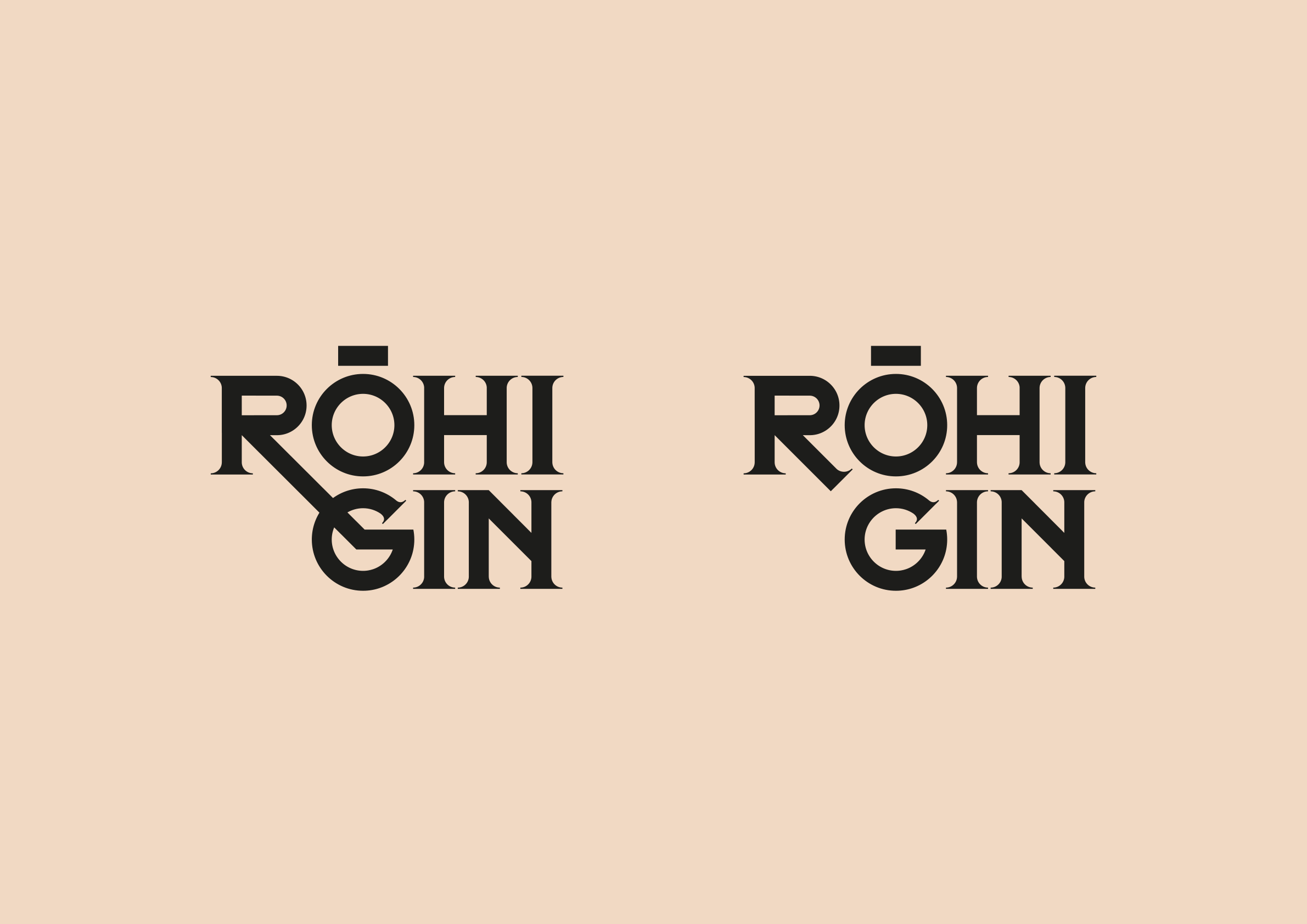 rohi-gin-portfolio.png