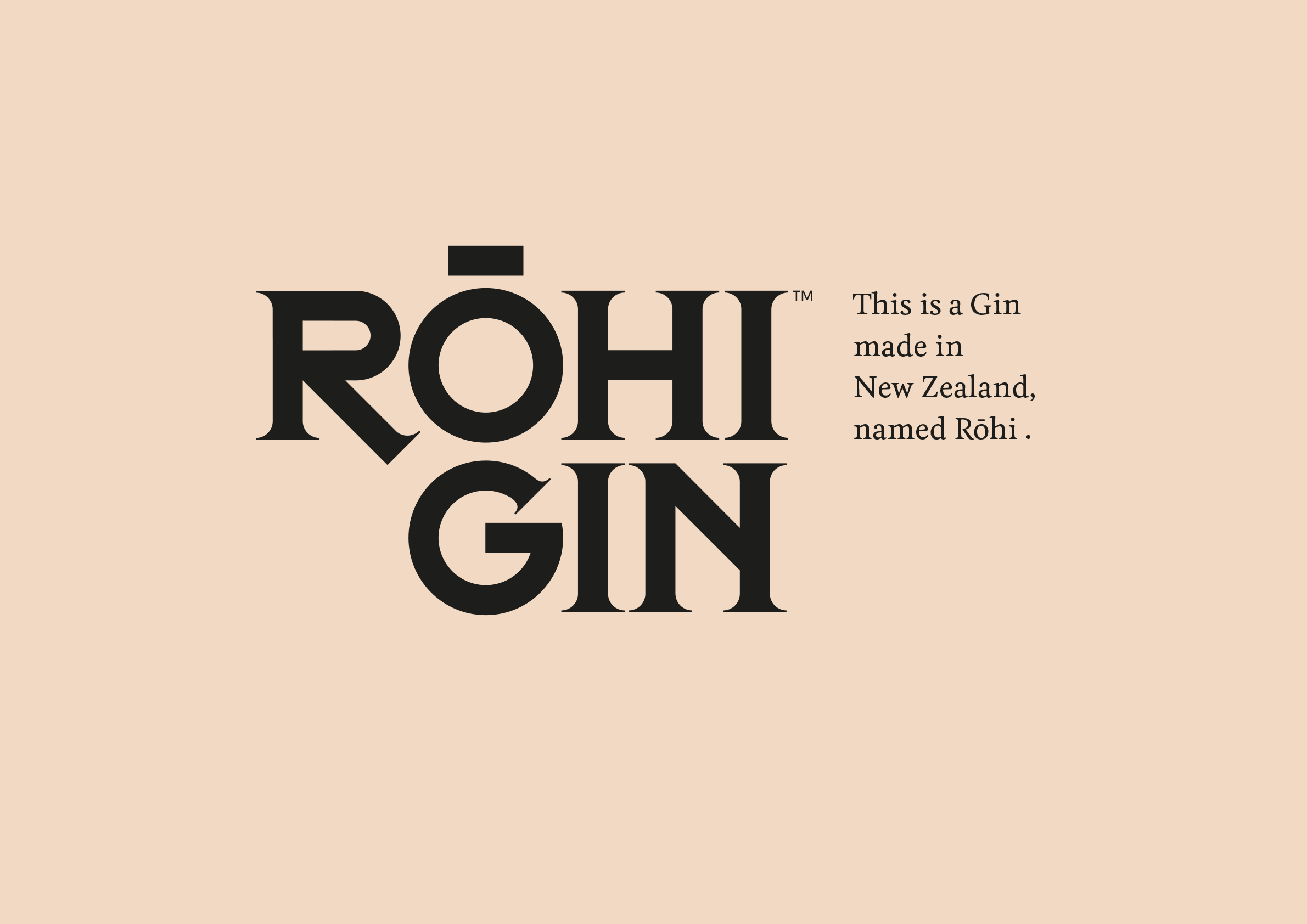 rohi-gin-portfolio-5.png
