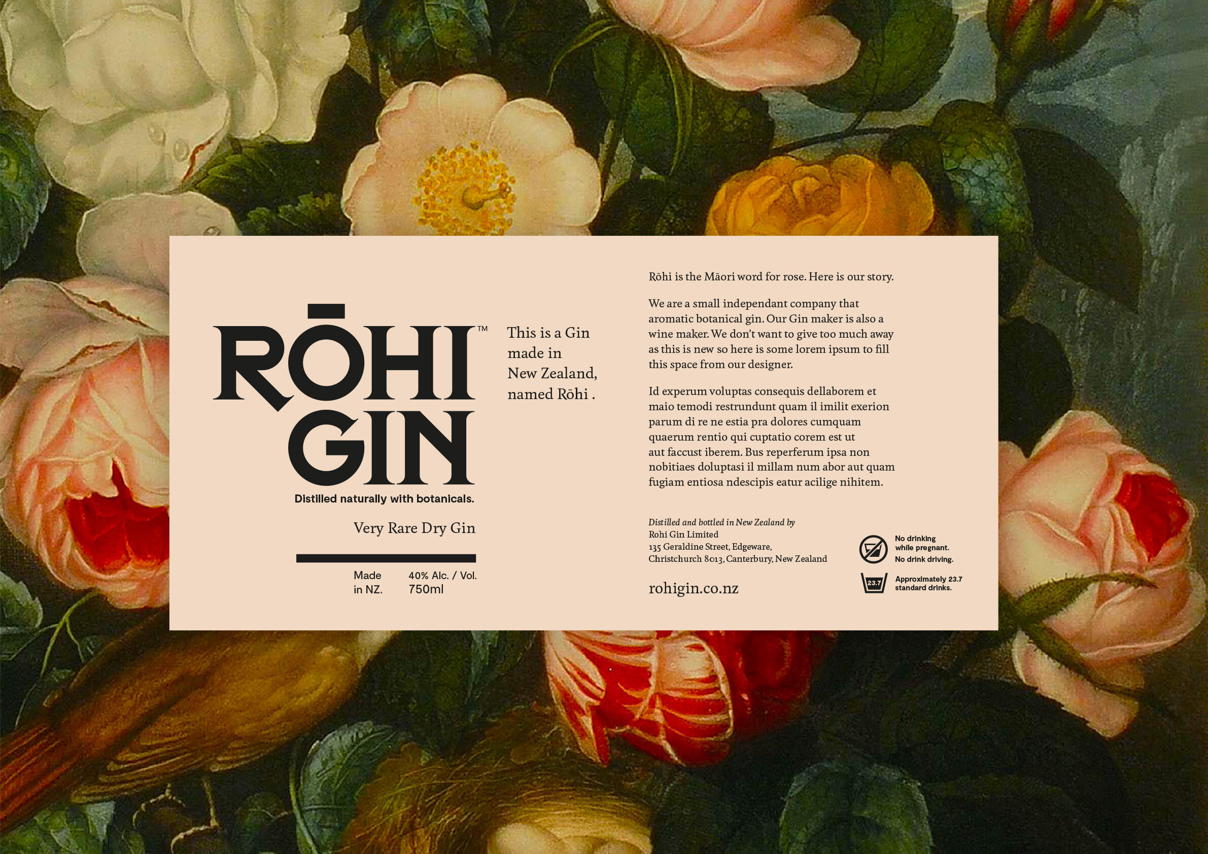 rohi-gin-portfolio-4.jpg