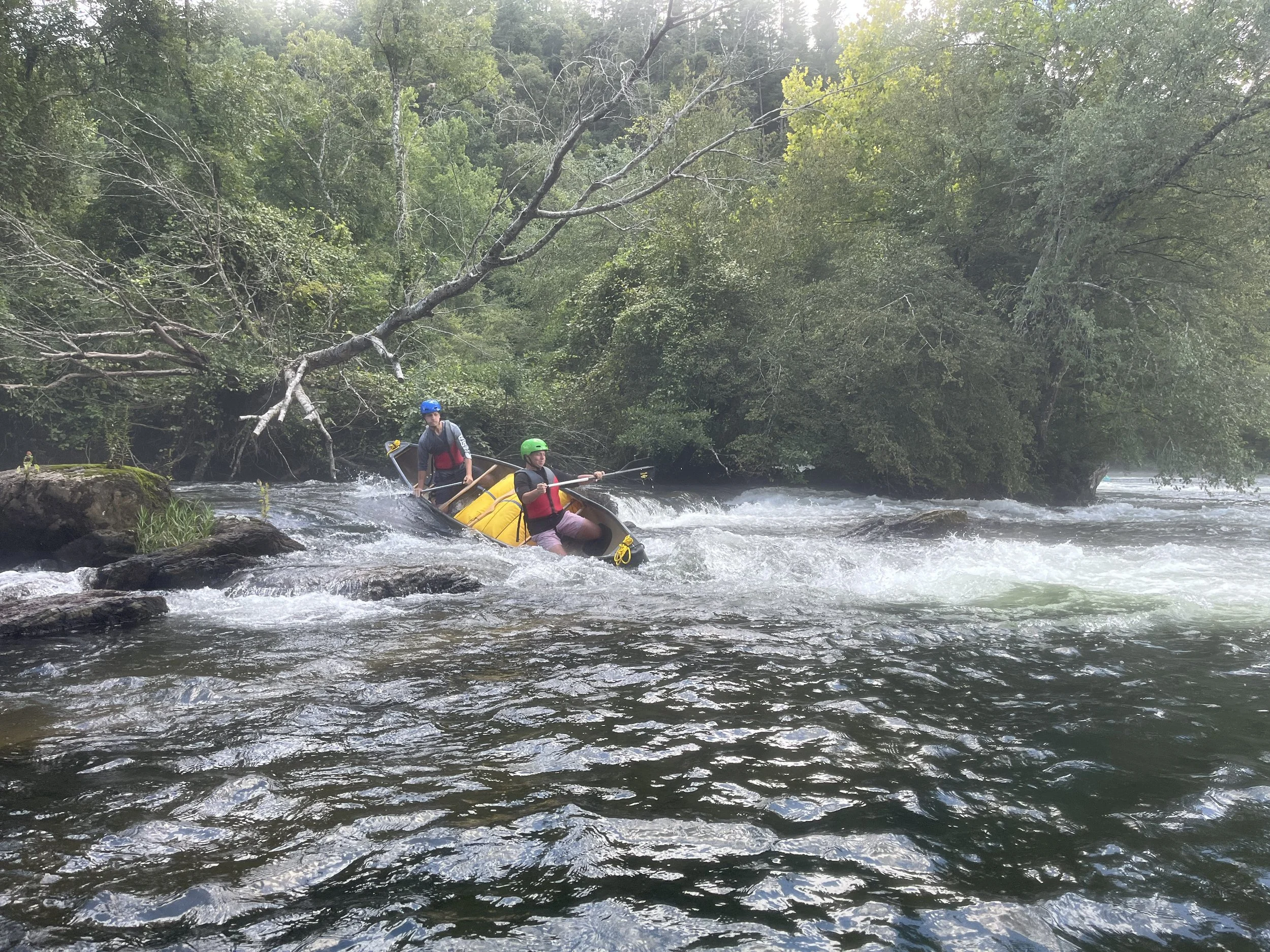 2025-07-25 14.22.38.jpg