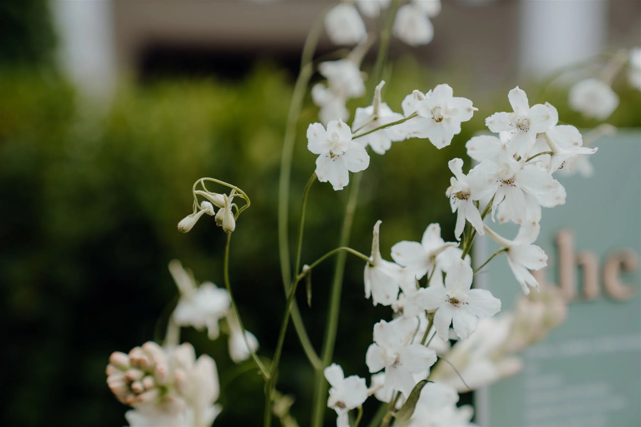 Jethro & Johanna's Wedding-102001_websize.jpg