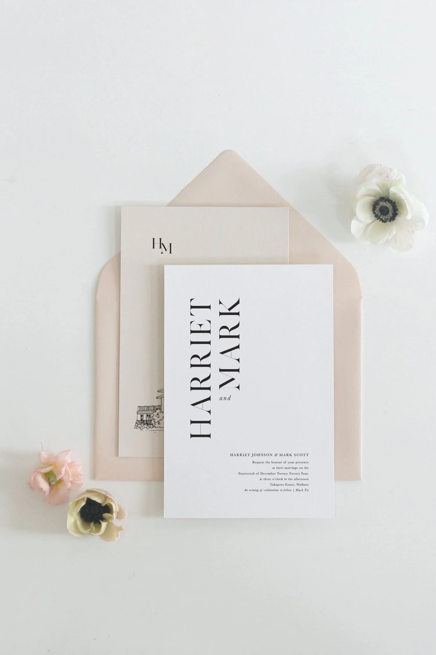 NEW - Aster