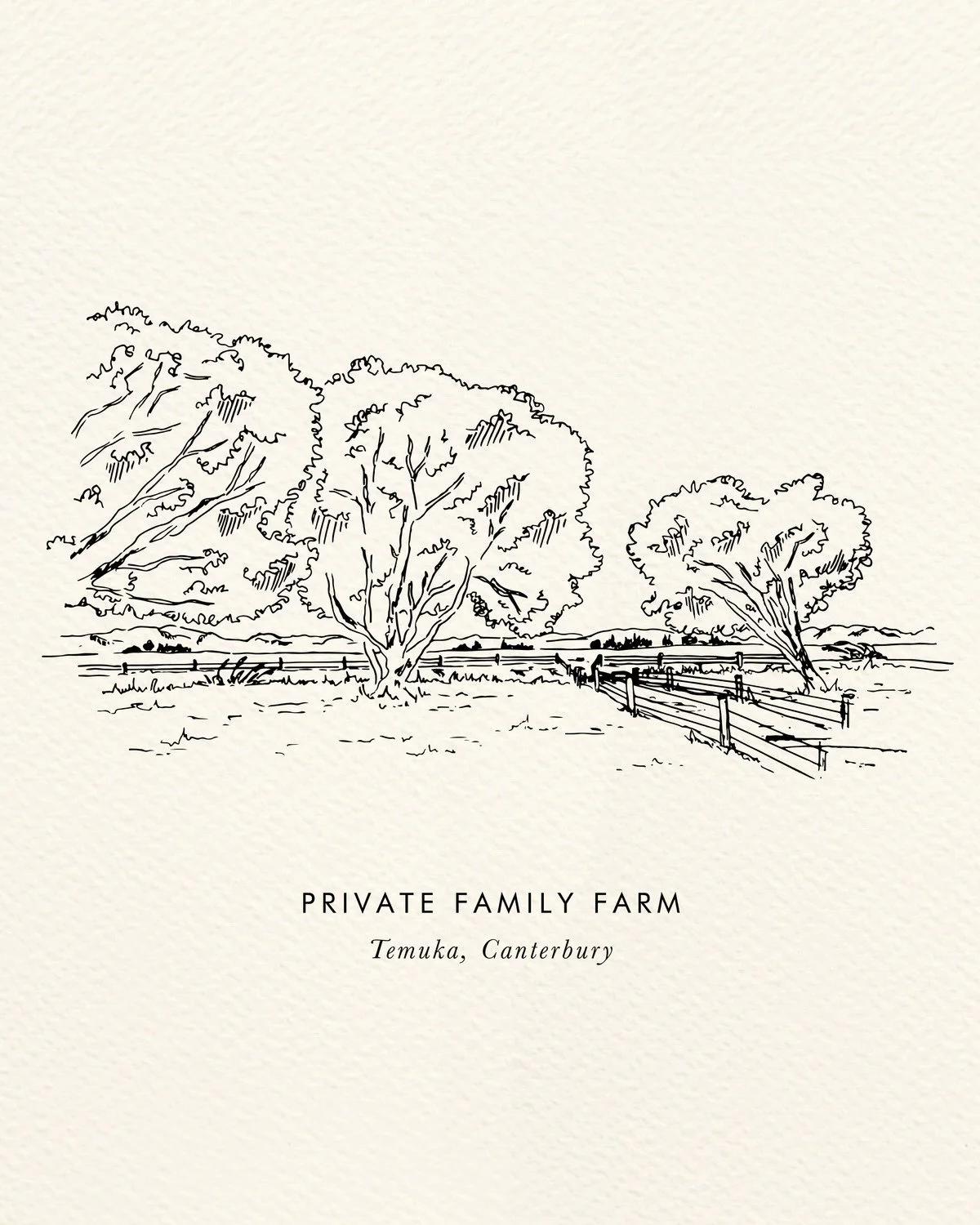 Wedding Venue Sketch - Temuka, Canterbury