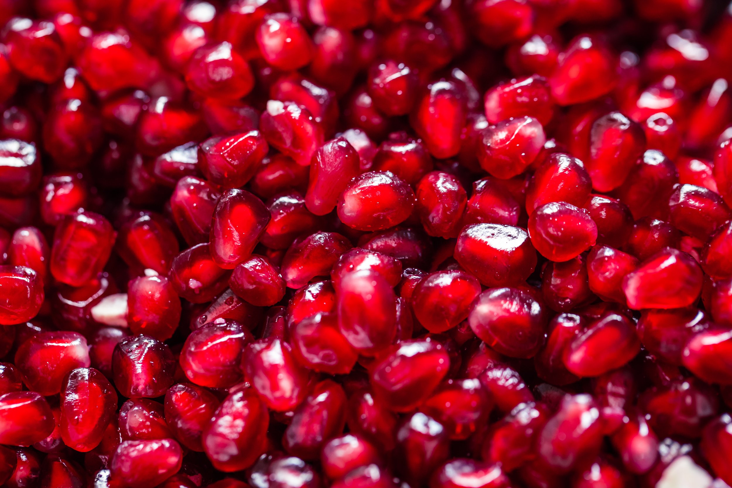 Poms-3.jpg