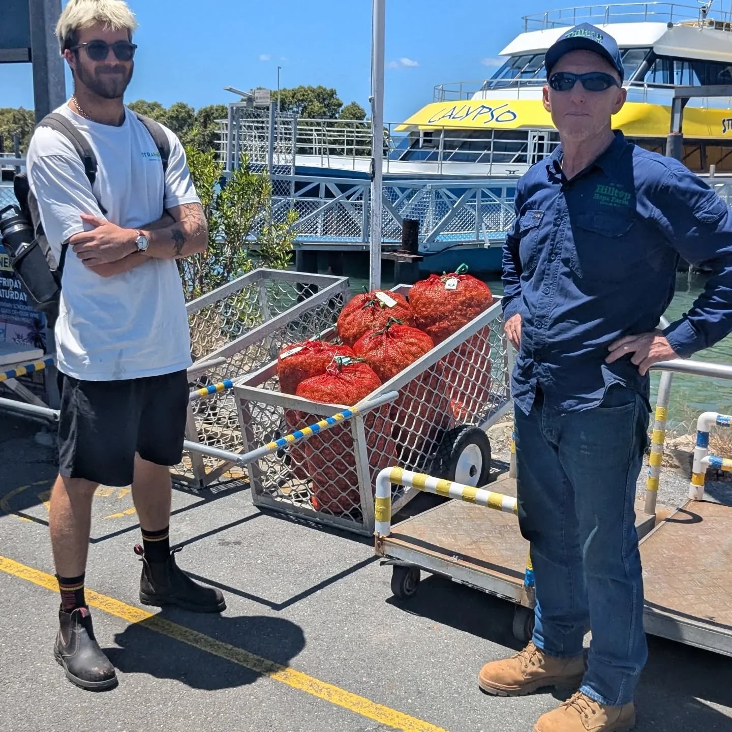 Thanks to @straddiebrewing about to make the first Redlands brewed beer using Redlands grown hops.